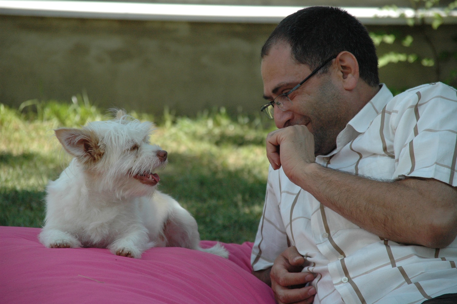 Düşman belli değil dost belli değil